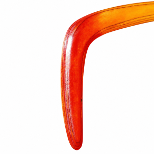  'Shade Play' Boomerang