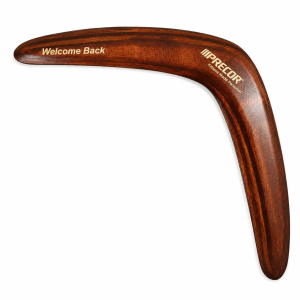Birch Wood Boomerang