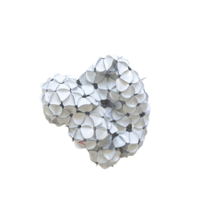 Transmogrification Brooch